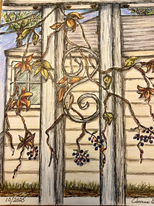 Fall sketch series